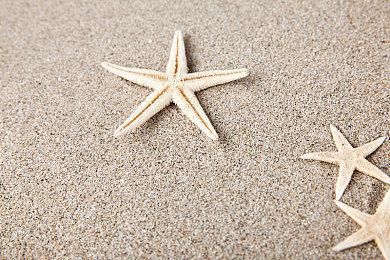 《孤岛惊魂6》PC版表现分析：画质不稳 CPU问题大